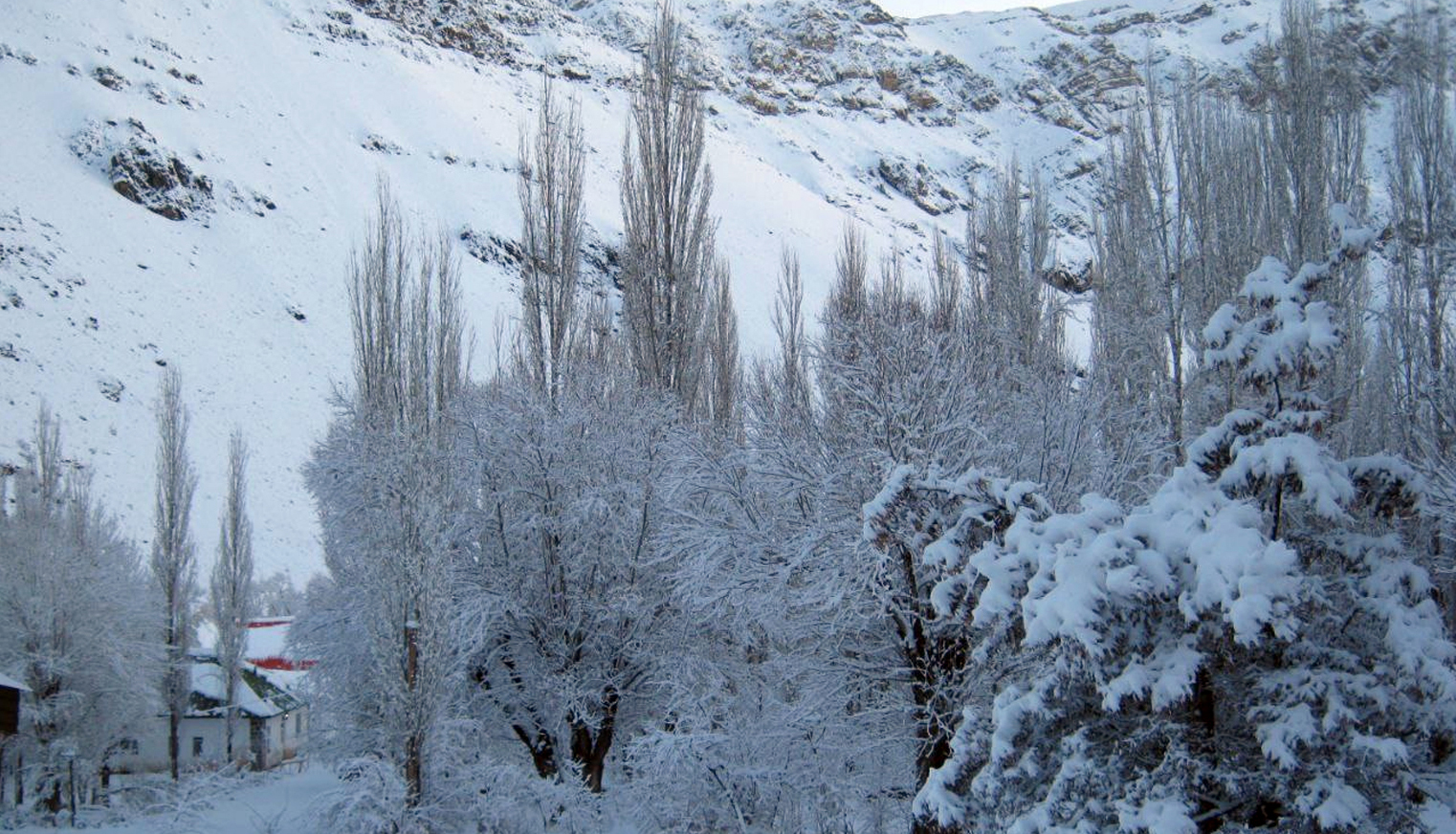 گزارش تصویری |  طبیعت چشم‌نواز زمستانی هتل گاجره